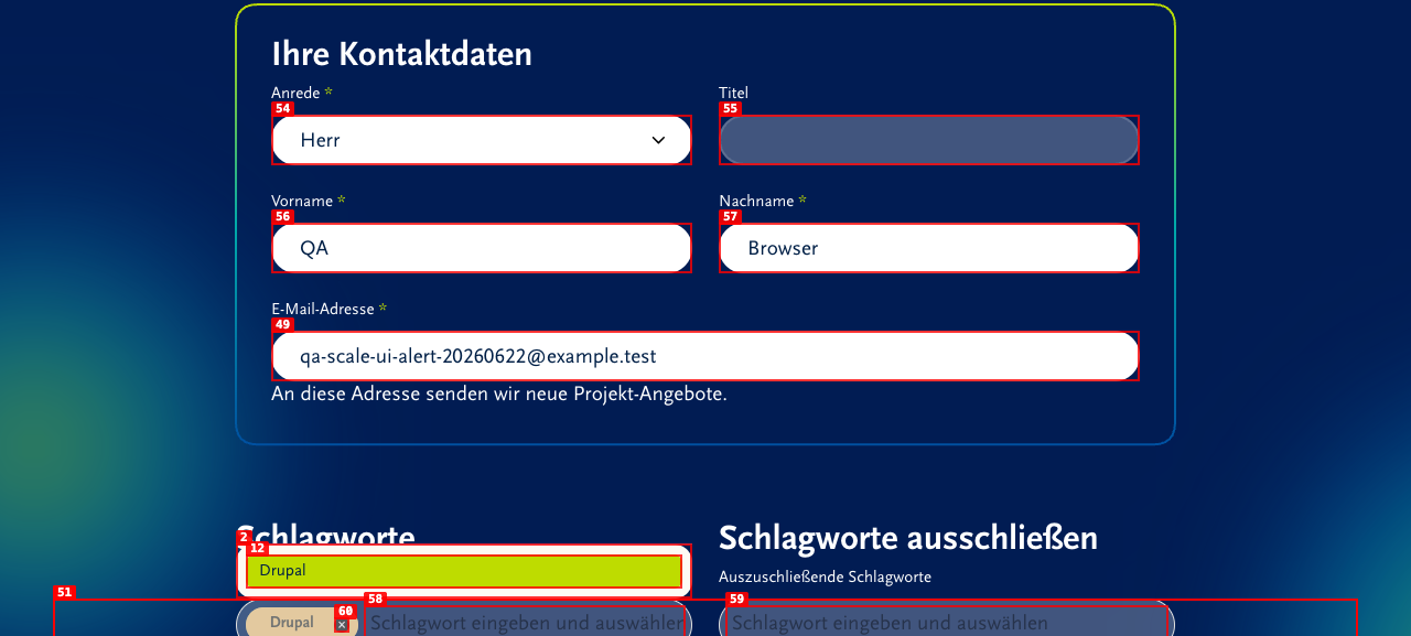 Ausgefuelltes Projekt-Alert-Formular mit sichtbaren Werten