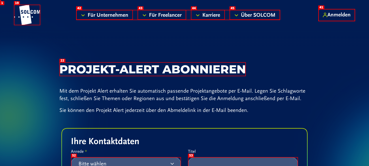 Initiales Projekt-Alert-Formular mit sichtbaren Eingabefeldern